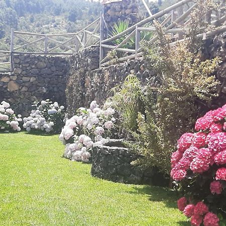 Casas Rurales Los Guinderos Icod De Los Vinos Luaran gambar