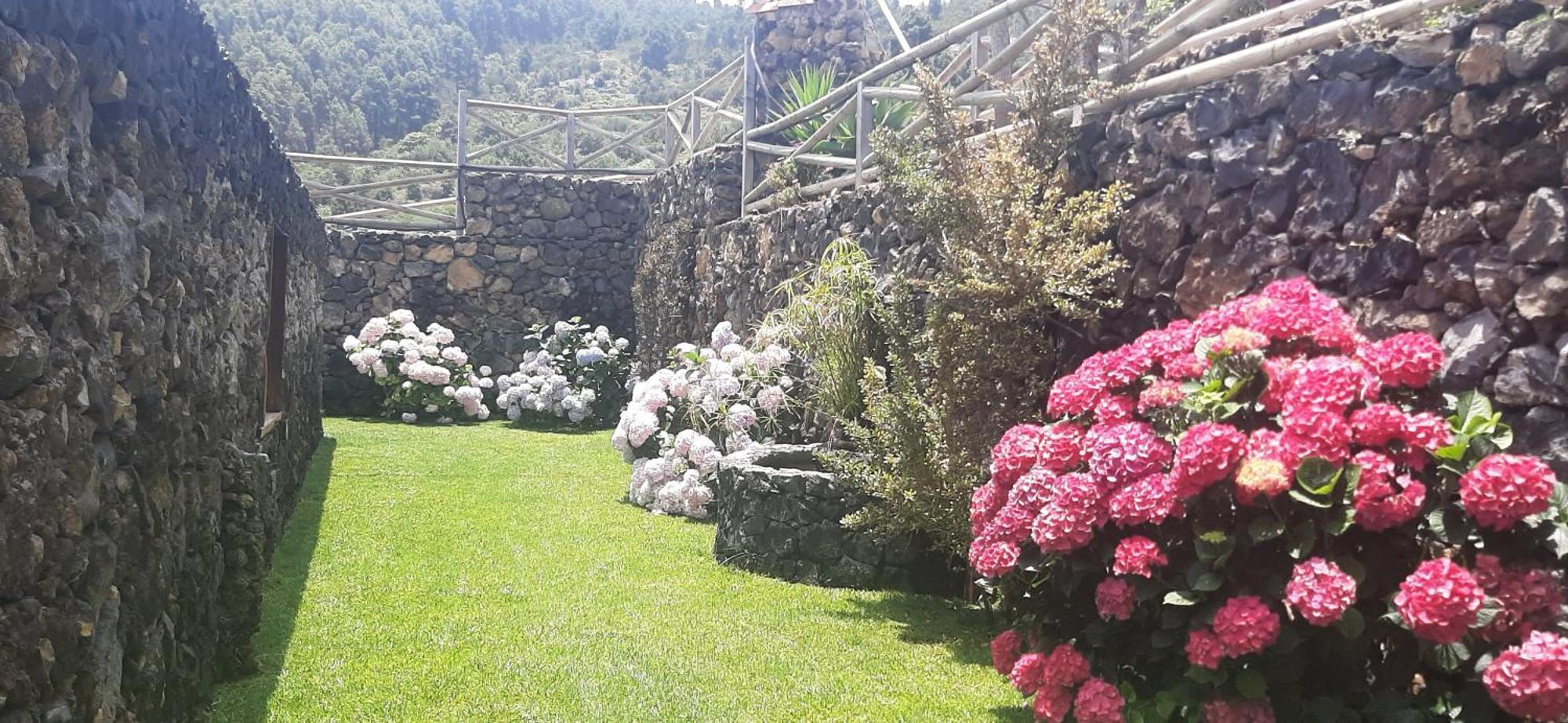 Casas Rurales Los Guinderos Icod De Los Vinos Luaran gambar