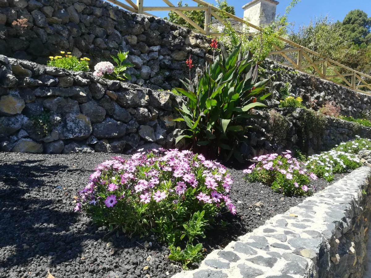 Casas Rurales Los Guinderos Icod De Los Vinos Luaran gambar